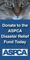 aspca.gif image by srm59